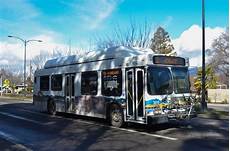 Student Buses